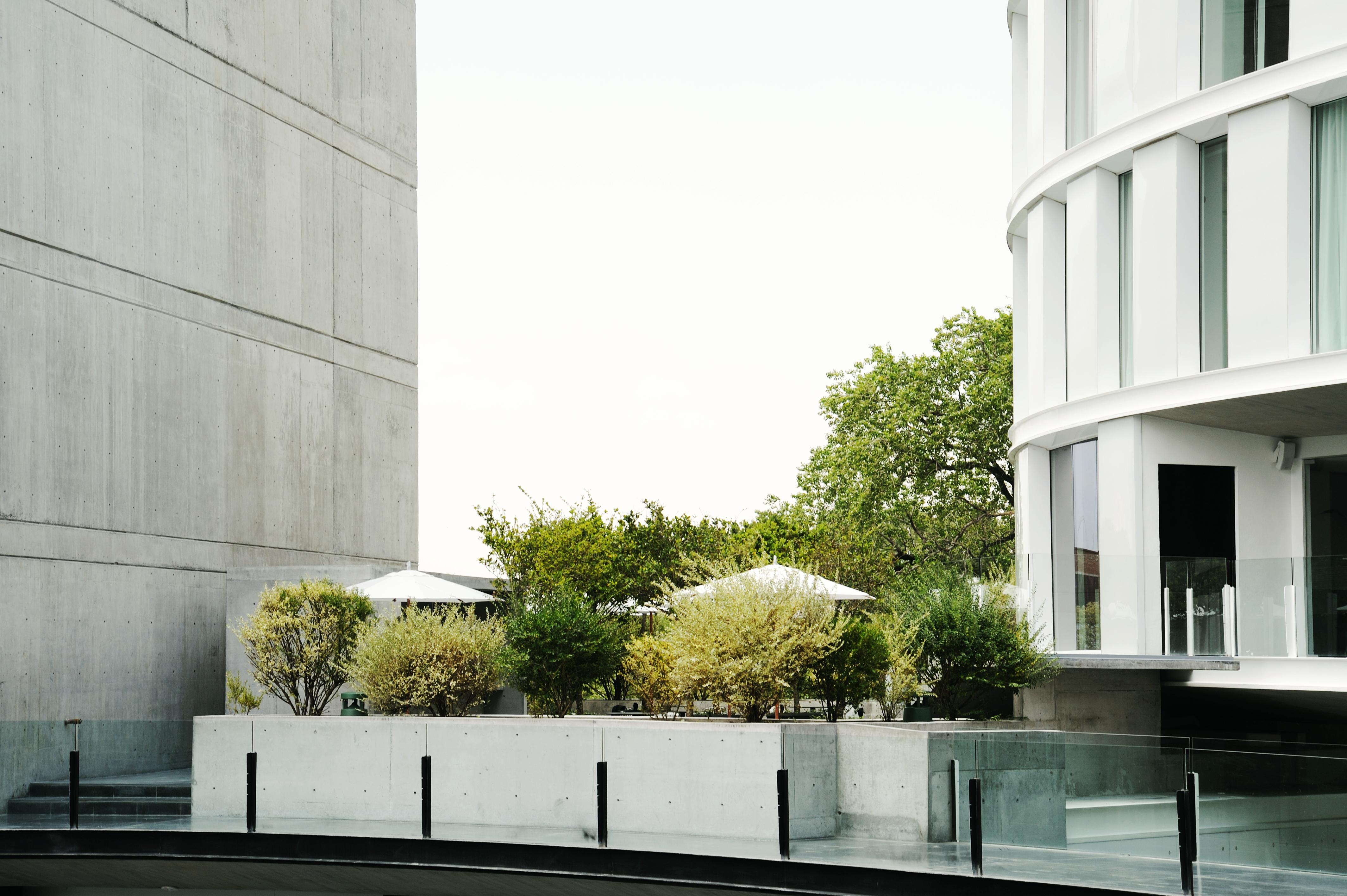 Habita Monterrey, A Member Of Design Hotels Ανέσεις φωτογραφία